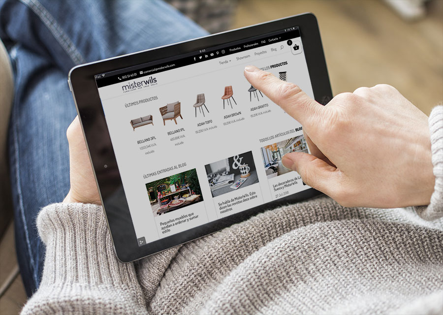 Descárgate el Catálogo de MisterWils Descárgate el Catálogo de MisterWils