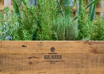 La Cantina Kulinaria un proyecto de interiorismo del equipo de MisterWils. En el mes de julio abrió sus puertas en Osuna La Cantina Kulinaria