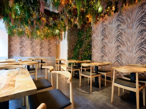 In the Plaza de la Magdalena, La Gorda will be the fifth success of these Sevillian restaurants.
