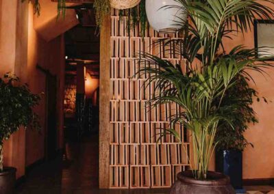 Tropicana Ronda | MisterWils, furniture for free souls | More than 4000sqm of showroom and warehouse. 06