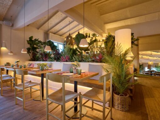 Hermanos Guadalupe, a new project of La Vida en tapas, located in Castilleja de la Cuesta.