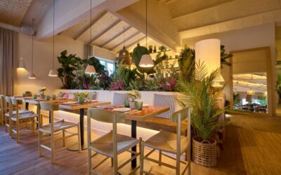 Stylish restaurant chairs and tables in 2025